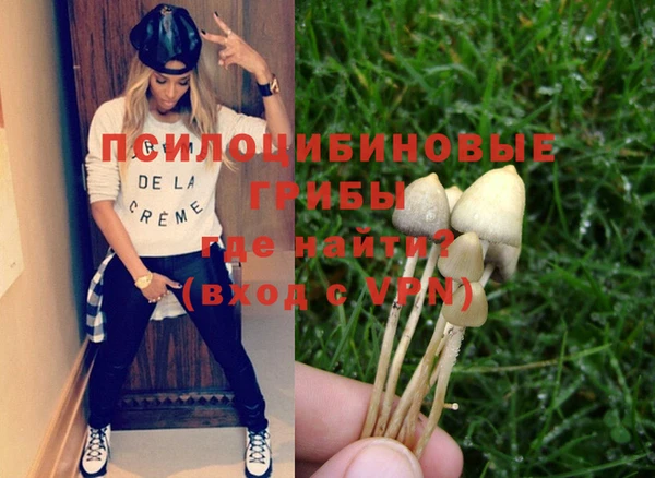 apvp Абинск