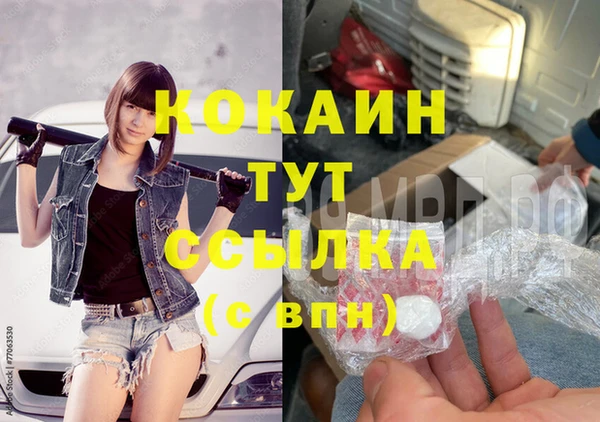 индика Алзамай
