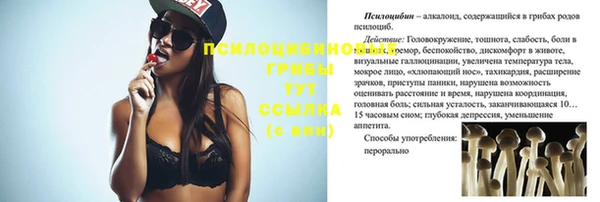 стаф Абдулино