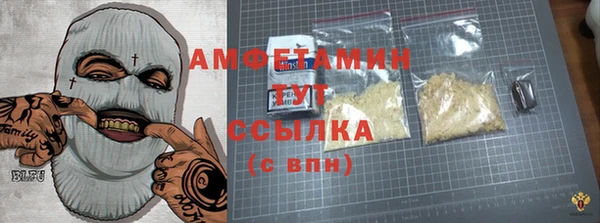 индика Алзамай