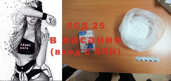 индика Алзамай